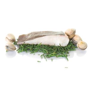 Heilbotfilet Zwart met huid porties